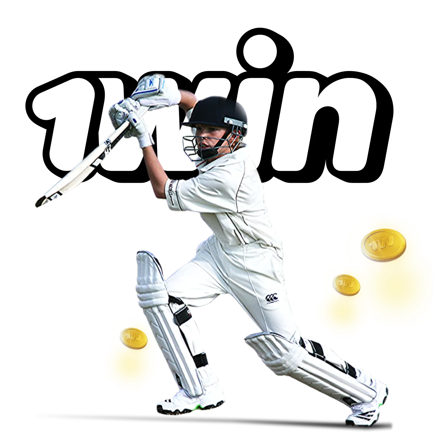 At 1Win you can always bet on cricket.